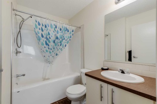 704-2445 Kingsland Road Se, Airdrie, AB - Indoor Photo Showing Bathroom