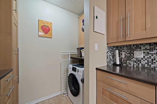 304-1033 15 Avenue Sw, Calgary, AB - Indoor Photo Showing Laundry Room