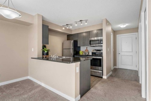 412-5 Saddlestone Way Ne, Calgary, AB - Indoor Photo Showing Kitchen With Double Sink