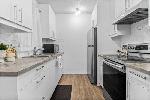 2036 39 Street Se, Calgary, AB - Indoor Photo Showing Kitchen With Double Sink With Upgraded Kitchen