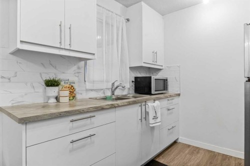2036 39 Street Se, Calgary, AB - Indoor Photo Showing Kitchen With Double Sink