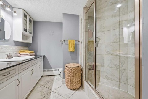 310-1111 13 Avenue Sw, Calgary, AB - Indoor Photo Showing Bathroom