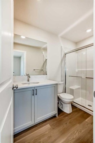 32 Creekside Rise Sw, Calgary, AB - Indoor Photo Showing Bathroom