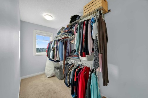 264 Boulder Creek Crescent Se, Langdon, AB - Indoor With Storage