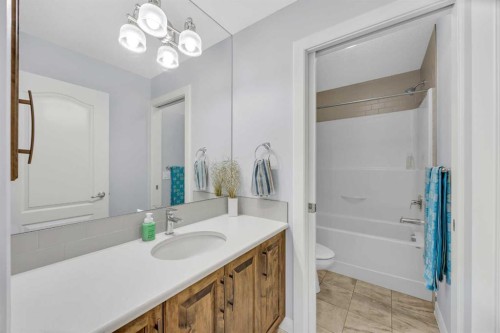 264 Boulder Creek Crescent Se, Langdon, AB - Indoor Photo Showing Bathroom