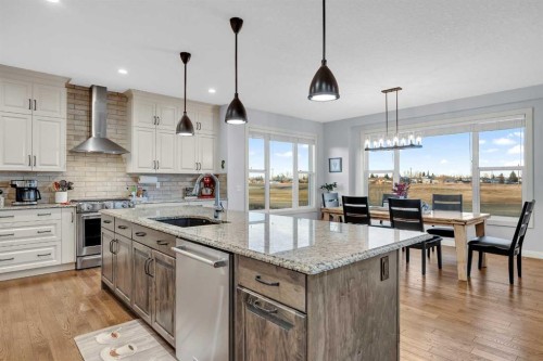 264 Boulder Creek Crescent Se, Langdon, AB - Indoor Photo Showing Kitchen With Upgraded Kitchen