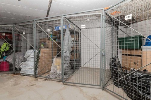 3004-211 13 Avenue Se, Calgary, AB - Indoor With Storage