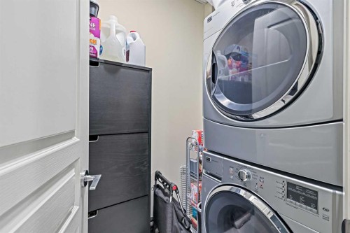 202-1320 1 Street Se, Calgary, AB - Indoor Photo Showing Laundry Room
