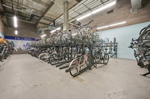 202-1320 1 Street Se, Calgary, AB - Indoor Photo Showing Garage