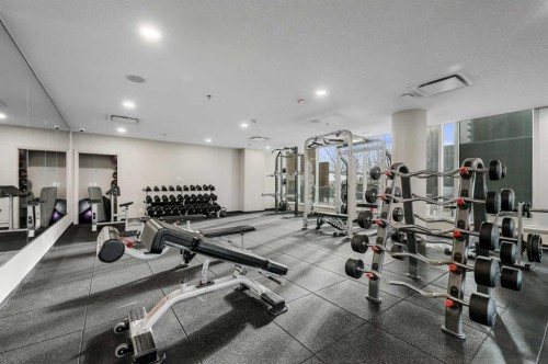 202-1320 1 Street Se, Calgary, AB - Indoor Photo Showing Gym Room