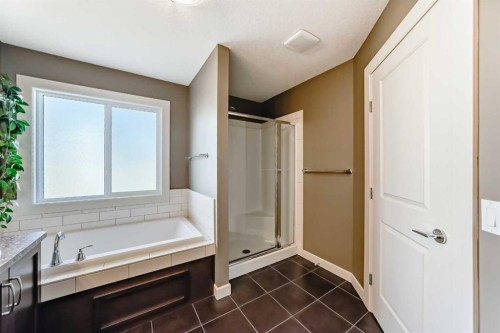 136 Aspenmere Close, Chestermere, AB - Indoor Photo Showing Bathroom