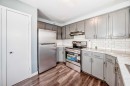 145 Whitewood Place Ne, Calgary, AB  - Indoor Photo Showing Kitchen With Stainless Steel Kitchen 