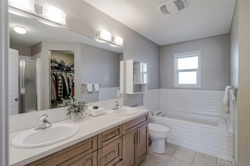 216 Copperpond Green Se, Calgary, AB - Indoor Photo Showing Bathroom