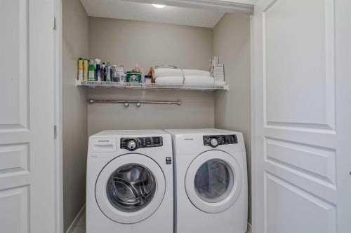 216 Copperpond Green Se, Calgary, AB - Indoor Photo Showing Laundry Room