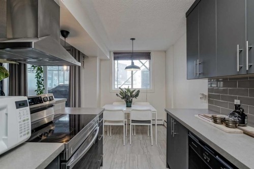 105-4455C Greenview Drive Ne, Calgary, AB - Indoor Photo Showing Kitchen With Upgraded Kitchen