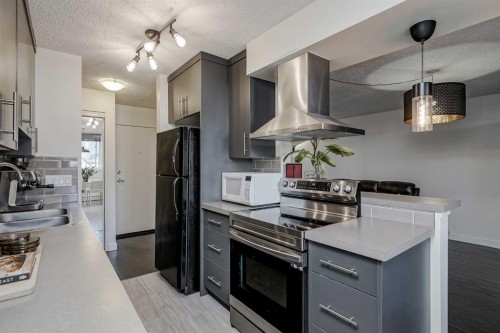 105-4455C Greenview Drive Ne, Calgary, AB - Indoor Photo Showing Kitchen