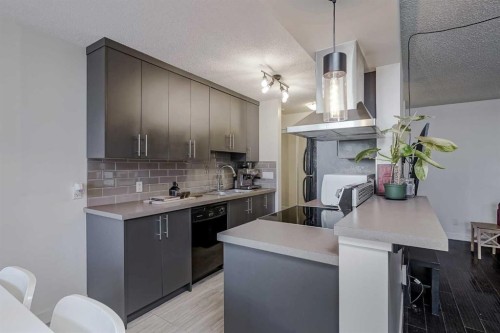 105-4455C Greenview Drive Ne, Calgary, AB - Indoor Photo Showing Kitchen