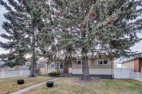 2015 Milne Drive Ne, Calgary, AB - Outdoor