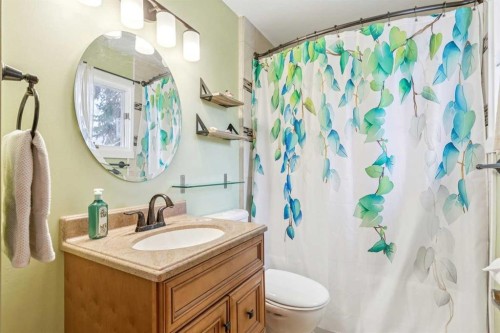 8620 46 Avenue Nw, Calgary, AB - Indoor Photo Showing Bathroom