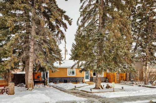 8620 46 Avenue Nw, Calgary, AB - Outdoor