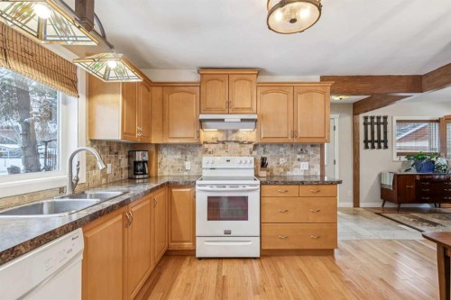 8620 46 Avenue Nw, Calgary, AB - Indoor Photo Showing Kitchen With Double Sink