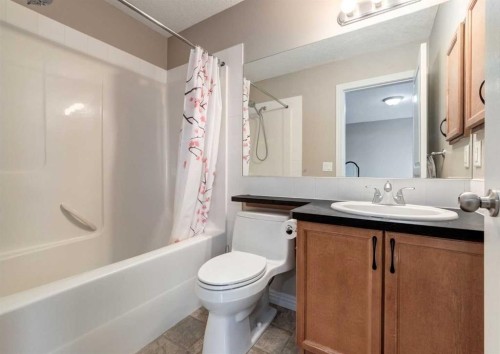 12 Royal Oak Lane Nw, Calgary, AB - Indoor Photo Showing Bathroom