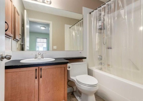 12 Royal Oak Lane Nw, Calgary, AB - Indoor Photo Showing Bathroom