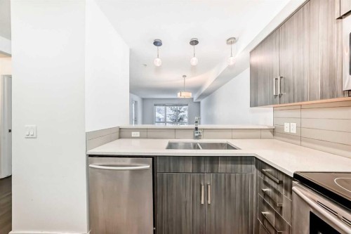 209-611 Edmonton Trail Ne, Calgary, AB - Indoor Photo Showing Kitchen With Double Sink