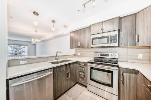 209-611 Edmonton Trail Ne, Calgary, AB - Indoor Photo Showing Kitchen With Stainless Steel Kitchen With Double Sink With Upgraded Kitchen