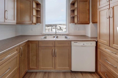 1501-145 Point Drive Nw, Calgary, AB - Indoor Photo Showing Kitchen With Double Sink