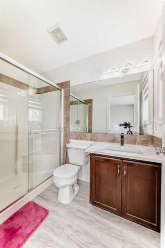 226 Saddlebrook Circle Ne, Calgary, AB - Indoor Photo Showing Bathroom