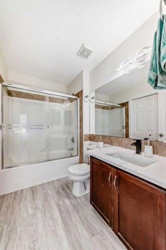 226 Saddlebrook Circle Ne, Calgary, AB - Indoor Photo Showing Bathroom
