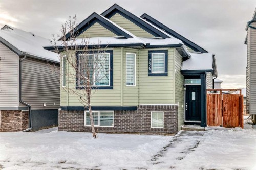 226 Saddlebrook Circle Ne, Calgary, AB - Outdoor