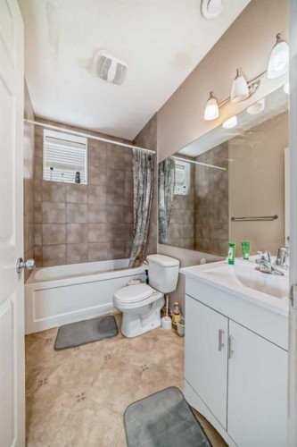 226 Saddlebrook Circle Ne, Calgary, AB - Indoor Photo Showing Bathroom