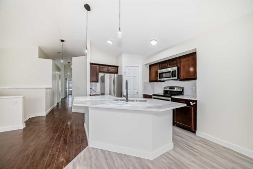 226 Saddlebrook Circle Ne, Calgary, AB - Indoor Photo Showing Kitchen With Stainless Steel Kitchen With Double Sink With Upgraded Kitchen