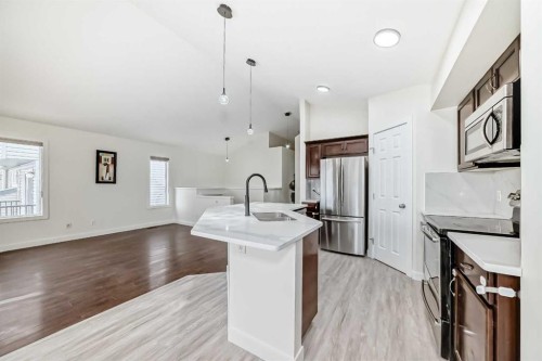 226 Saddlebrook Circle Ne, Calgary, AB - Indoor Photo Showing Kitchen With Stainless Steel Kitchen With Upgraded Kitchen