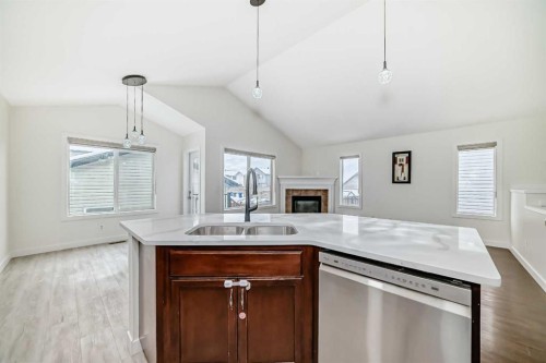 226 Saddlebrook Circle Ne, Calgary, AB - Indoor Photo Showing Kitchen With Double Sink