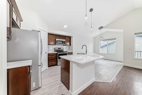 226 Saddlebrook Circle Ne, Calgary, AB - Indoor Photo Showing Kitchen With Double Sink With Upgraded Kitchen