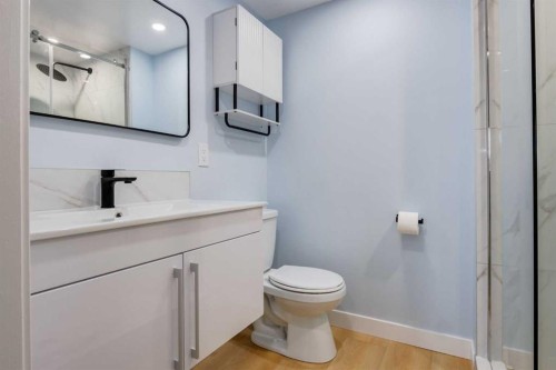 325-2425 90 Avenue Sw, Calgary, AB - Indoor Photo Showing Bathroom