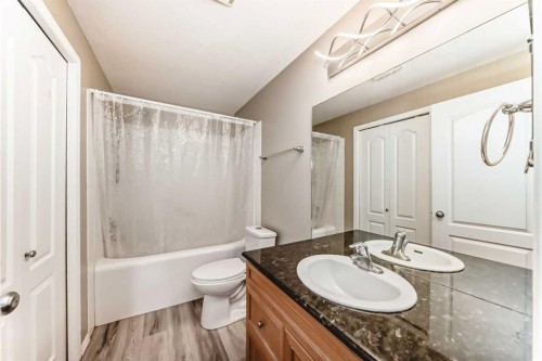 415 Sunrise Terrace Ne, High River, AB - Indoor Photo Showing Bathroom