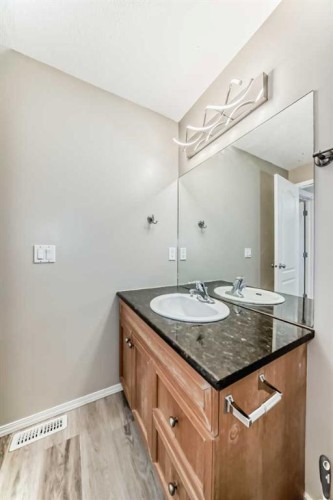 415 Sunrise Terrace Ne, High River, AB - Indoor Photo Showing Bathroom