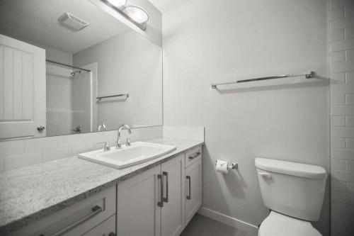 384 Copperpond Landing Se, Calgary, AB - Indoor Photo Showing Bathroom