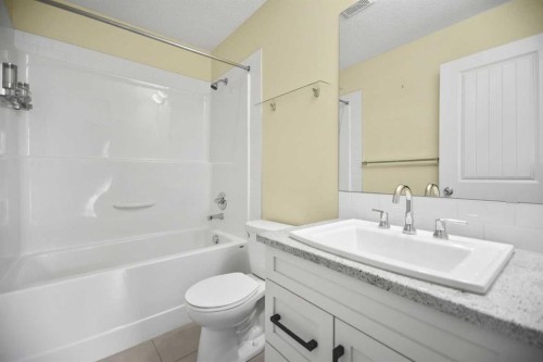384 Copperpond Landing Se, Calgary, AB - Indoor Photo Showing Bathroom