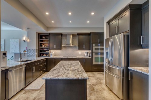 119 Marquis Crescent Se, Calgary, AB - Indoor Photo Showing Kitchen With Stainless Steel Kitchen With Upgraded Kitchen