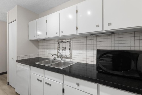 704-4944 Dalton Drive Nw, Calgary, AB - Indoor Photo Showing Kitchen With Double Sink