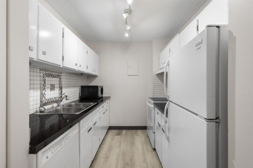 704-4944 Dalton Drive Nw, Calgary, AB - Indoor Photo Showing Kitchen With Double Sink