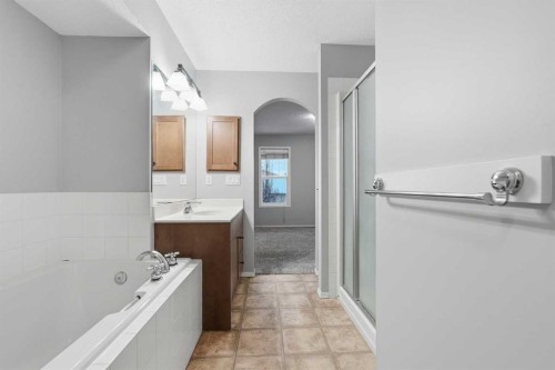 254 Cramond Circle Se, Calgary, AB - Indoor Photo Showing Bathroom