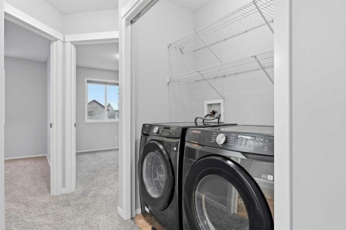 254 Cramond Circle Se, Calgary, AB - Indoor Photo Showing Laundry Room