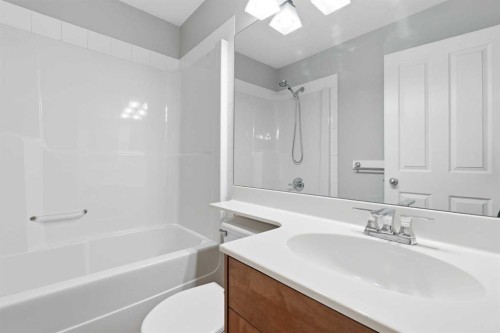 254 Cramond Circle Se, Calgary, AB - Indoor Photo Showing Bathroom