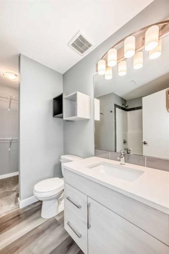 45 Ellington Crescent, Red Deer, AB - Indoor Photo Showing Bathroom